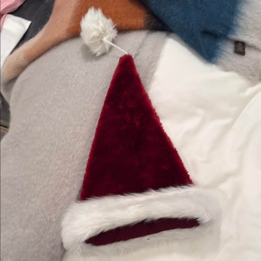 Red Santa Hat with White Trim